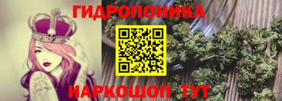 jwh Сланцы