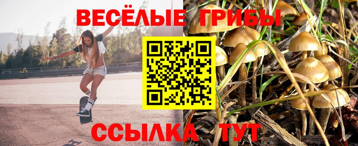 Галлюциногенные грибы MAGIC MUSHROOMS Ставрополь