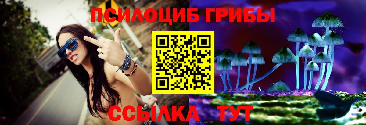 Псилоцибиновые грибы GOLDEN TEACHER  Вход с VPN  Ставрополь 